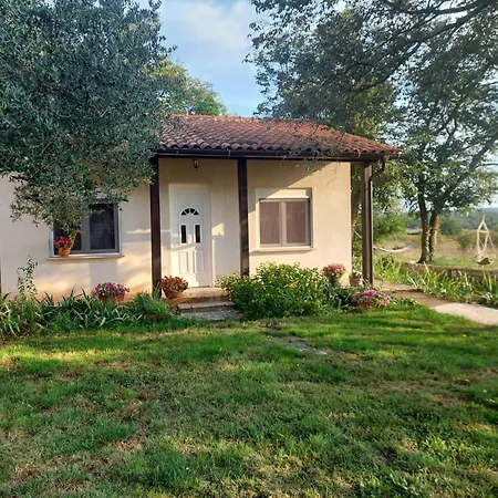 Marijana Holiday home